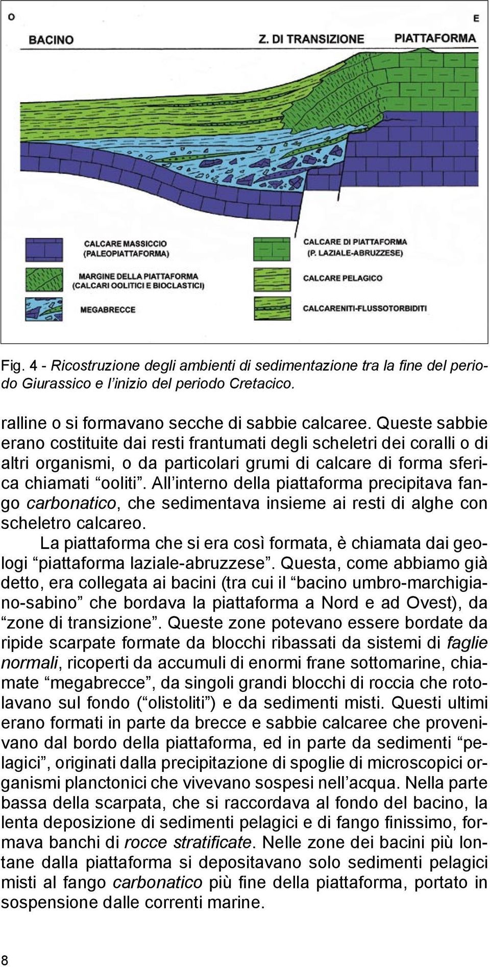 All interno della piattaforma precipitava fango carbonatico, che sedimentava insieme ai resti di alghe con scheletro calcareo.