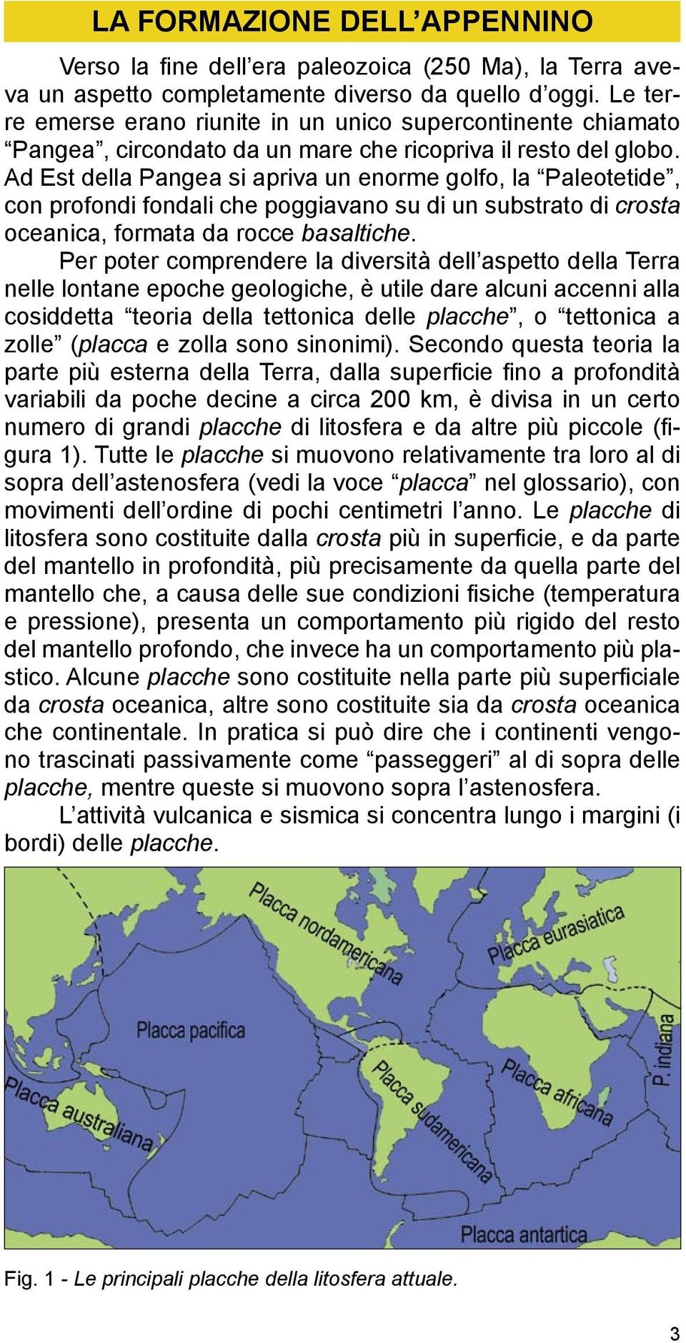 Ad Est della Pangea si apriva un enorme golfo, la Paleotetide, con profondi fondali che poggiavano su di un substrato di crosta oceanica, formata da rocce basaltiche.