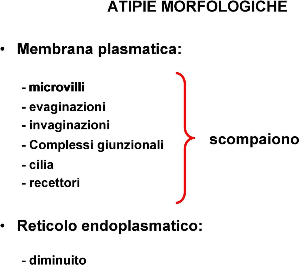 Complessi giunzionali - cilia - recettori