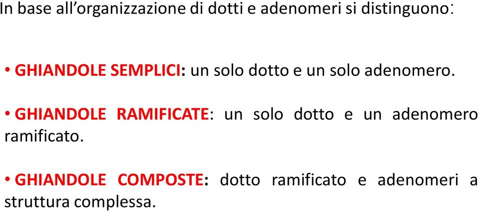 GHIANDOLE RAMIFICATE: un solo dotto e un adenomero ramificato.