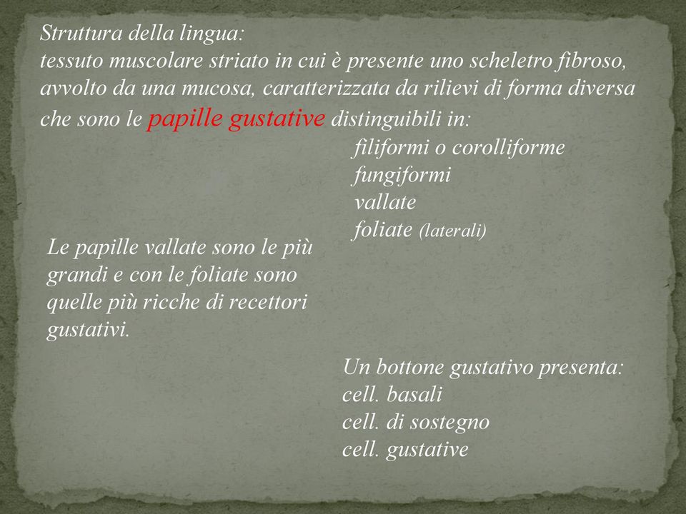 corolliforme fungiformi vallate foliate (laterali) Le papille vallate sono le più grandi e con le foliate sono