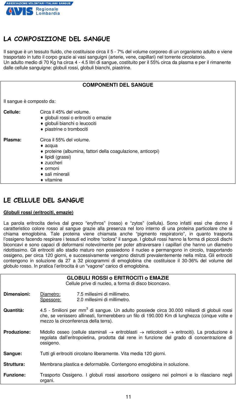 5 litri di sangue, costituito per il 55% circa da plasma e per il rimanente dalle cellule sanguigne: globuli rossi, globuli bianchi, piastrine.