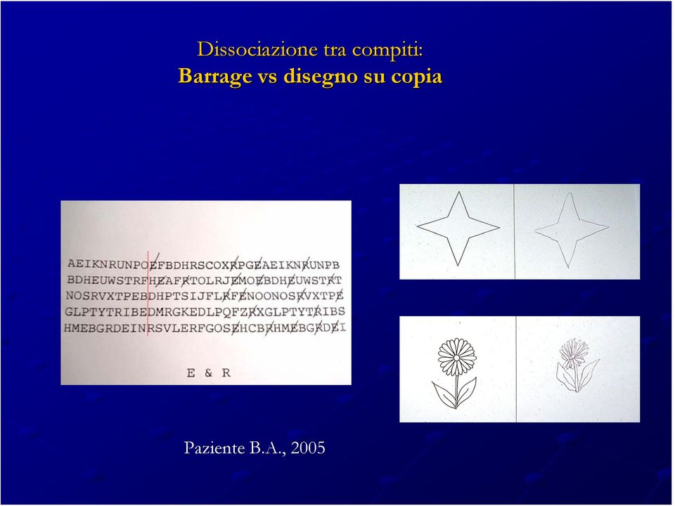 vs disegno su