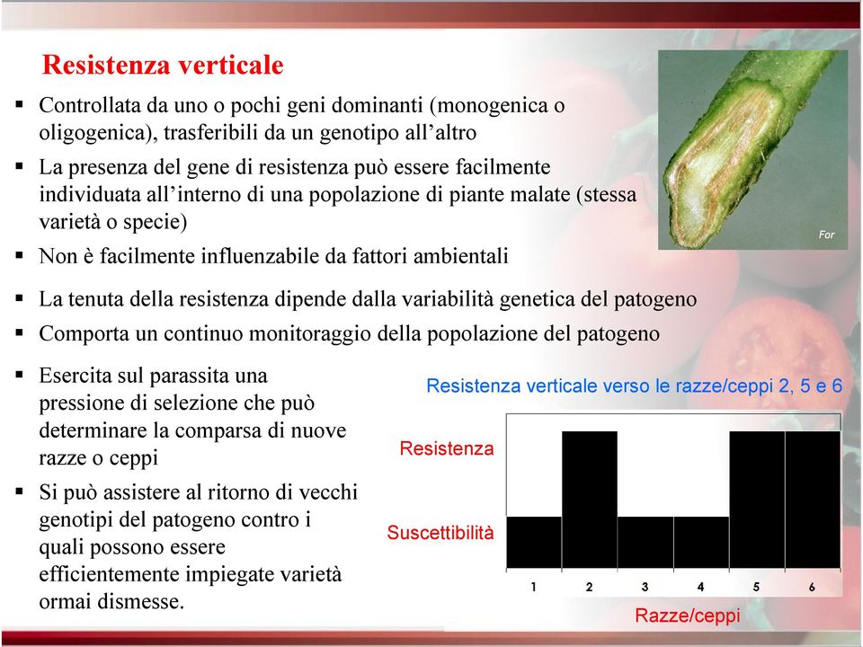 patogeno Comporta un continuo monitoraggio della popolazione del patogeno Esercita sul parassita una pressione di selezione che può determinare la comparsa di nuove razze o ceppi Si può assistere al