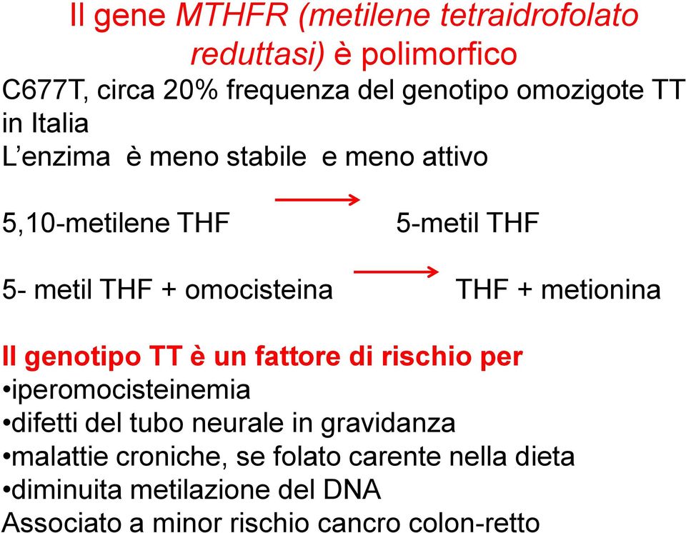 metionina Il genotipo TT è un fattore di rischio per iperomocisteinemia difetti del tubo neurale in gravidanza