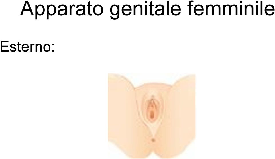 femminile