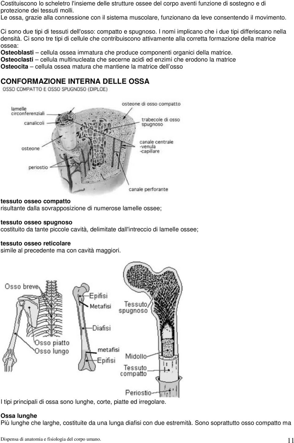 I nomi implicano che i due tipi differiscano nella densità.