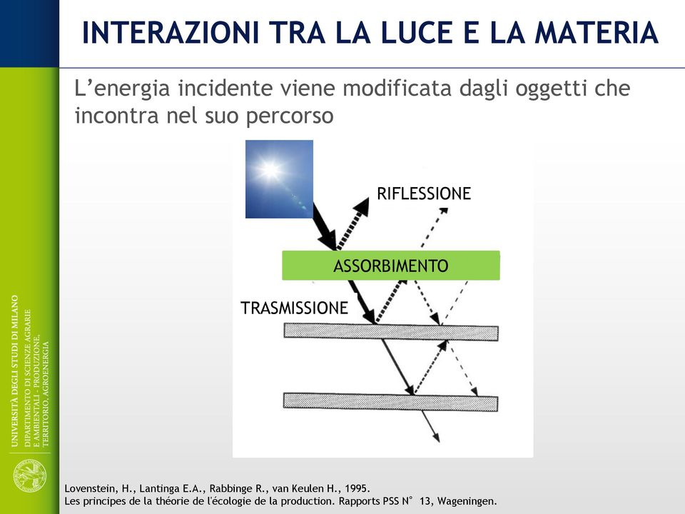 ASSORBIMENTO Lovenstein, H., Lantinga E.A., Rabbinge R., van Keulen H., 1995.