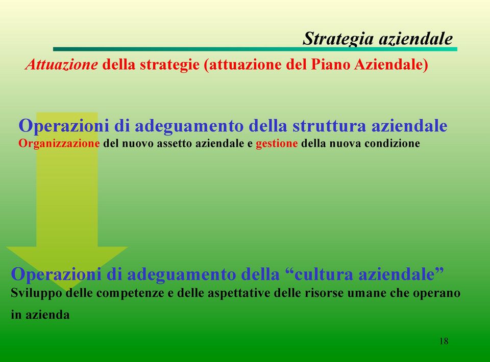 gestione della nuova condizione Operazioni di adeguamento della cultura aziendale