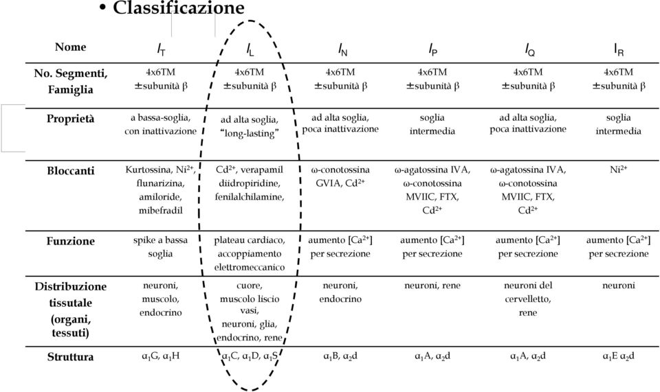 amiloride, mibefradil Cd 2+, verapamil diidropiridine, fenilalchilamine, ω-conotossina GVIA, Cd 2+ ω-agatossina IVA, ω-conotossina MVIIC, FTX, Cd 2+ ω-agatossina IVA, ω-conotossina MVIIC, FTX, Cd 2+