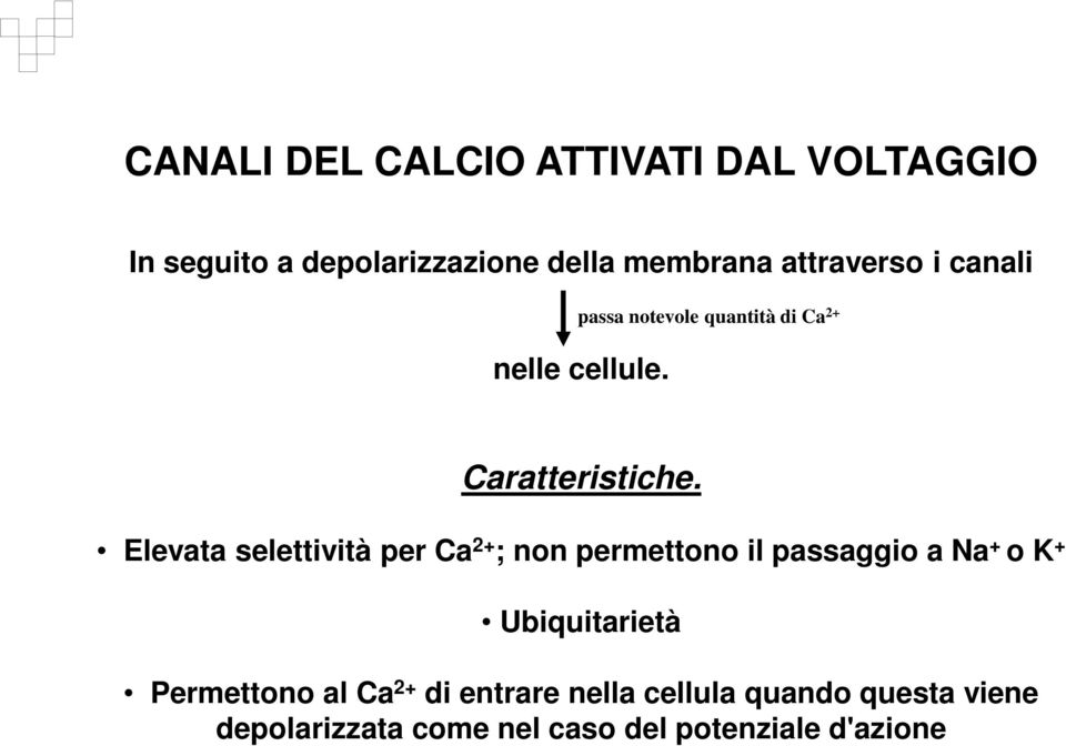 Elevata selettività per Ca 2+ ; non permettono il passaggio a Na + o K + Ubiquitarietà