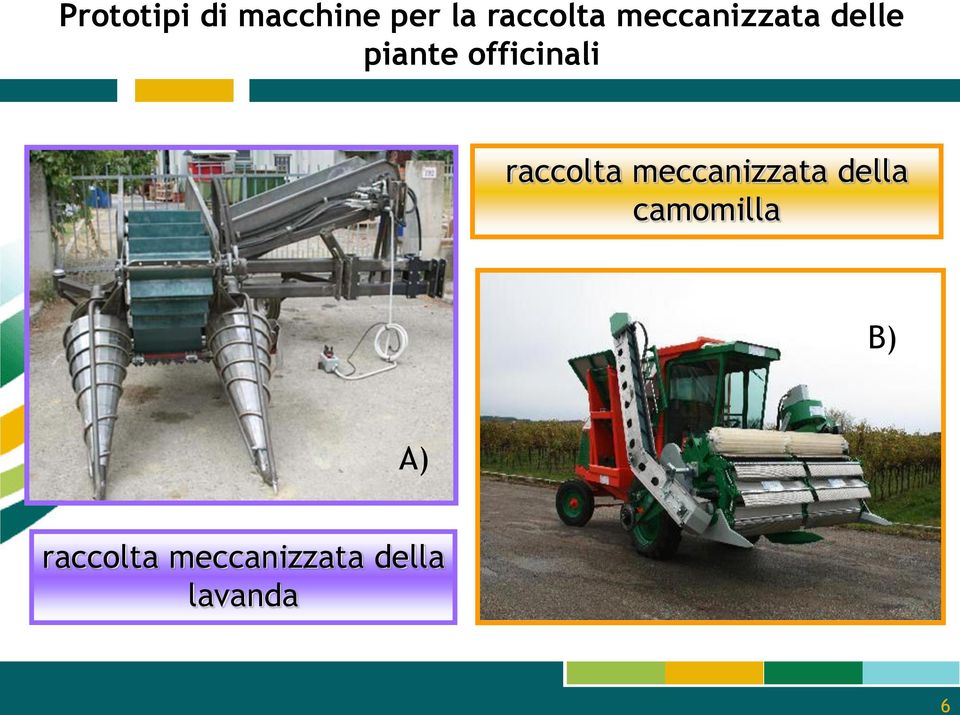 raccolta meccanizzata della camomilla