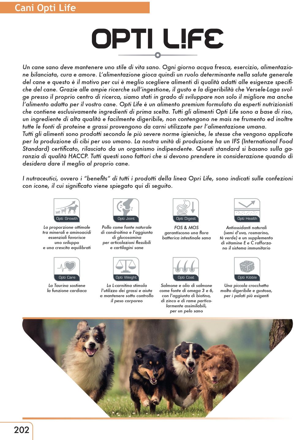 Grazie alle ampie ricerche sull ingestione, il gusto e la digeribilità che Versele-Laga svolge presso il proprio centro di ricerca, siamo stati in grado di sviluppare non solo il migliore ma anche l