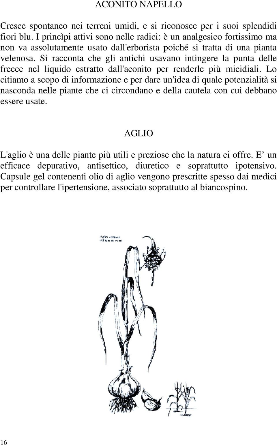 Si racconta che gli antichi usavano intingere la punta delle frecce nel liquido estratto dall'aconito per renderle più micidiali.