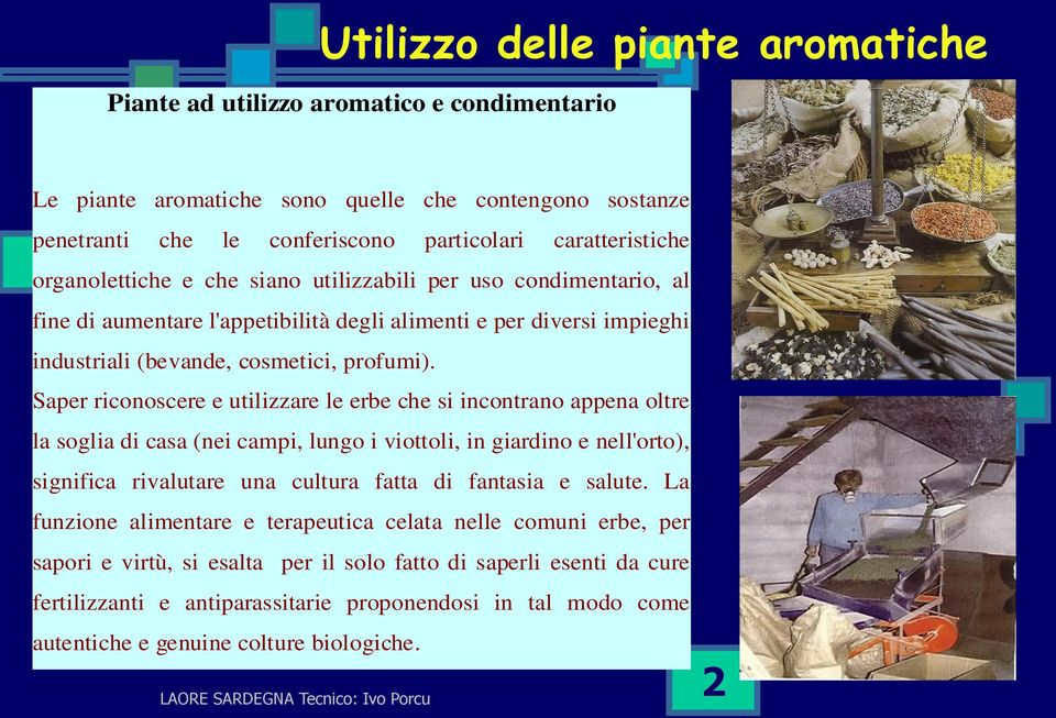 Saper riconoscere e utilizzare le erbe che si incontrano appena oltre la soglia di casa (nei campi, lungo i viottoli, in giardino e nell'orto), significa rivalutare una cultura fatta di fantasia e