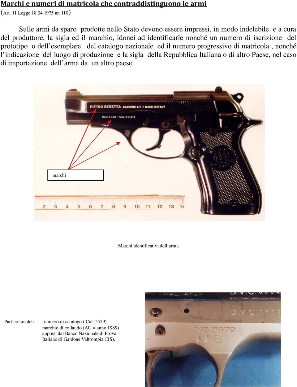 iscrizione del prototipo o dell esemplare del catalogo nazionale ed il numero progressivo di matricola, nonché l indicazione del luogo di produzione e la sigla della Repubblica