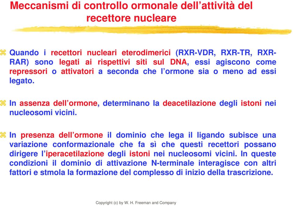 In assenza dell ormone, determinano la deacetilazione degli istoni nei nucleosomi vicini.