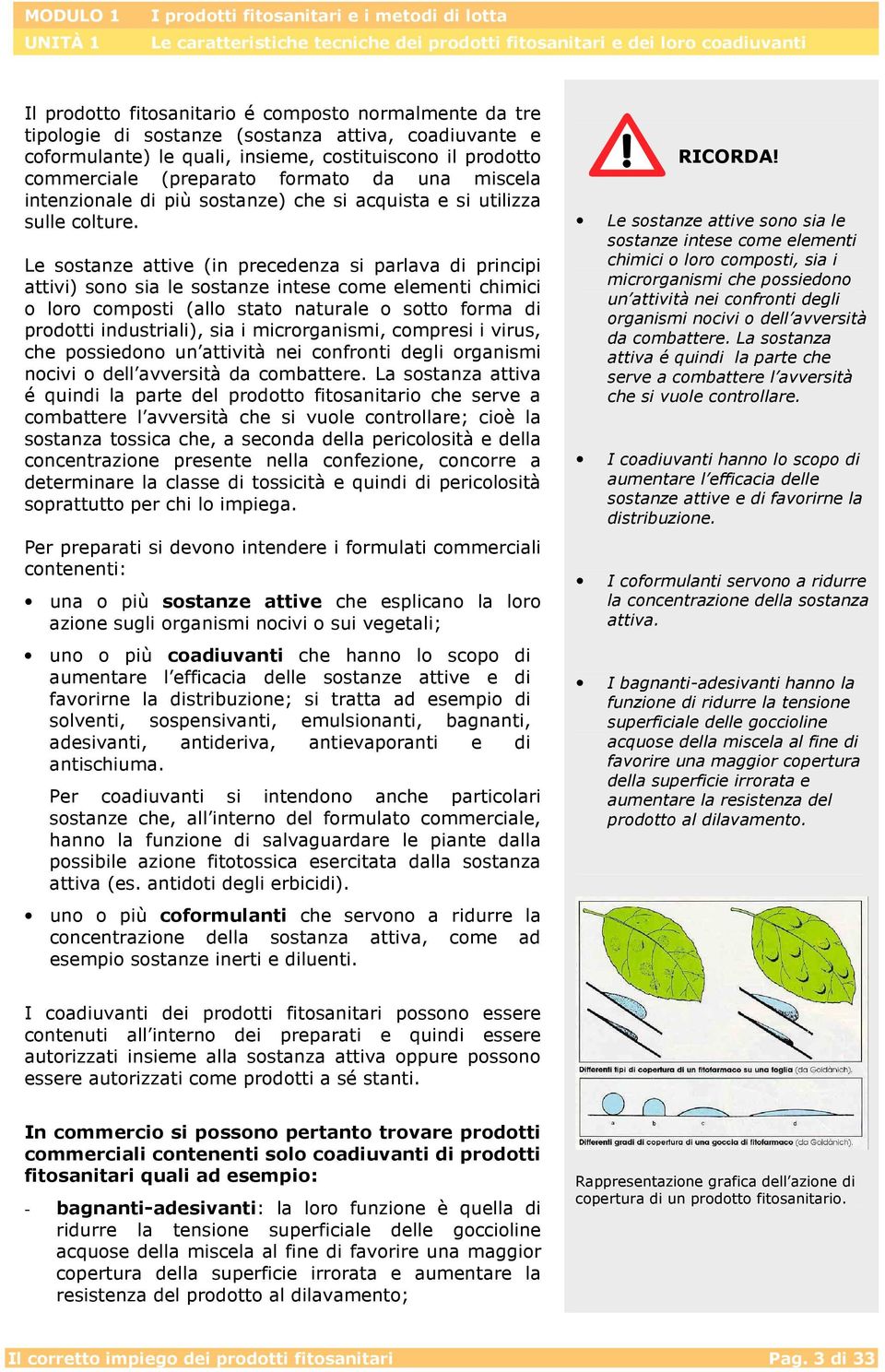 Le sostanze attive (in precedenza si parlava di principi attivi) sono sia le sostanze intese come elementi chimici o loro composti (allo stato naturale o sotto forma di prodotti industriali), sia i