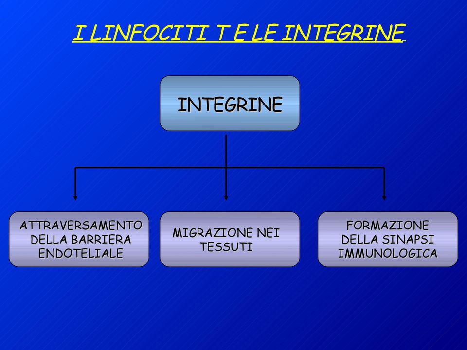 BARRIERA ENDOTELIALE MIGRAZIONE NEI