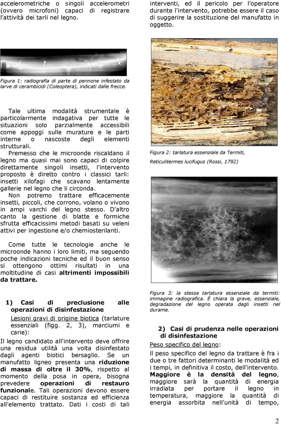 Figura 1: radiografia di parte di pennone infestato da larve di cerambicidi (Coleoptera), indicati dalle frecce.