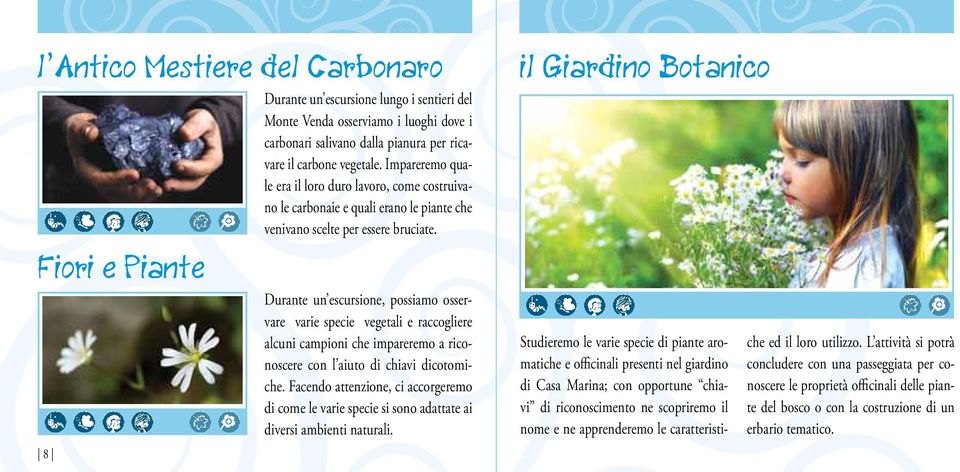 Durante un escursione, possiamo osservare varie specie vegetali e raccogliere alcuni campioni che impareremo a riconoscere con l aiuto di chiavi dicotomiche.