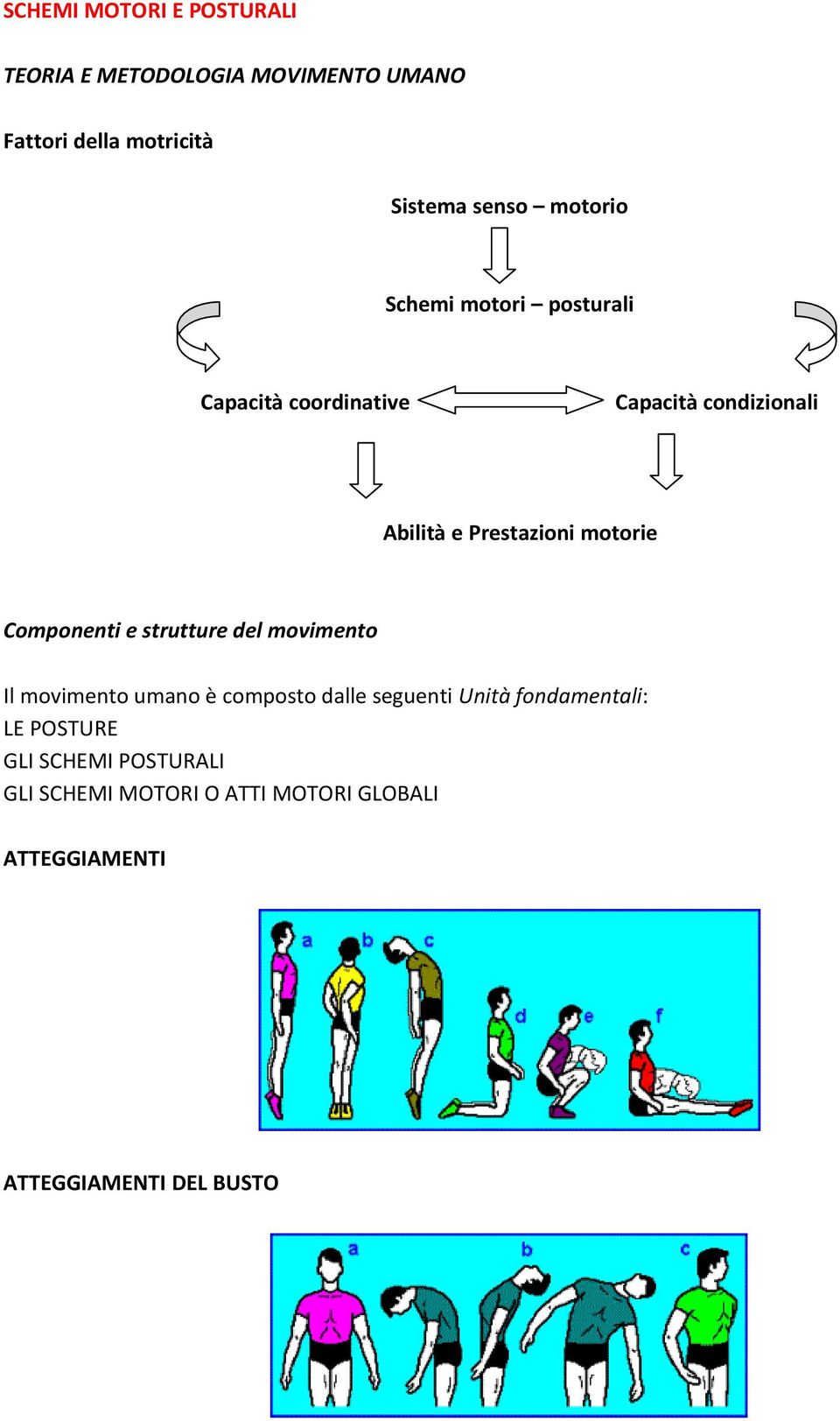 motorie Componenti e strutture del movimento Il movimento umano è composto dalle seguenti Unità