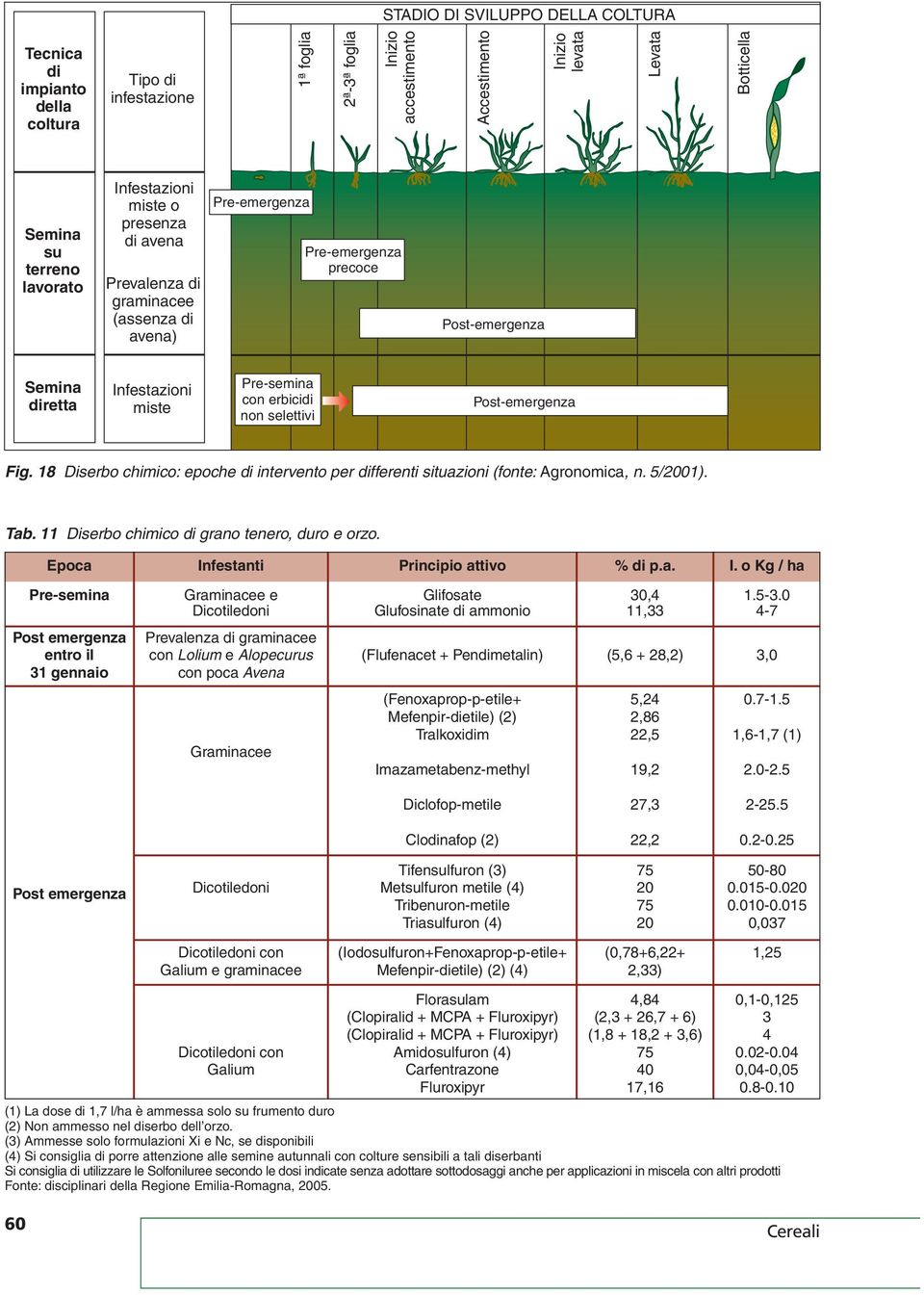 erbicidi non selettivi Post-emergenza Fig. 8 Diserbo chimico: epoche di intervento per differenti situazioni (fonte: Agronomica, n. 5/). Tab. Diserbo chimico di grano tenero, duro e orzo.