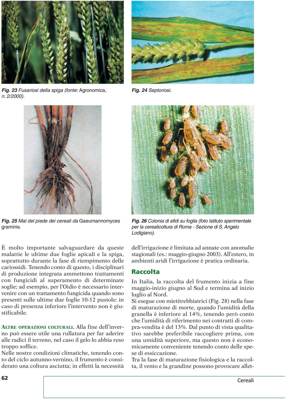 Tenendo conto di questo, i disciplinari di produzione integrata ammettono trattamenti con fungicidi al superamento di determinate soglie; ad esempio, per l Oidio è necessario intervenire con un