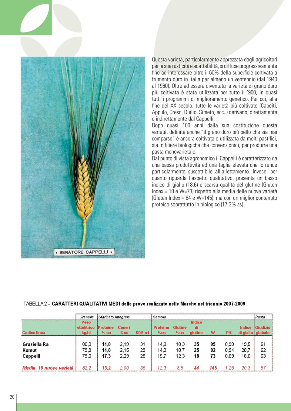 Oltre ad essere diventata la varietà di grano duro più coltivata è stata utilizzata per tutto il 900, in quasi tutti i programmi di miglioramento genetico.