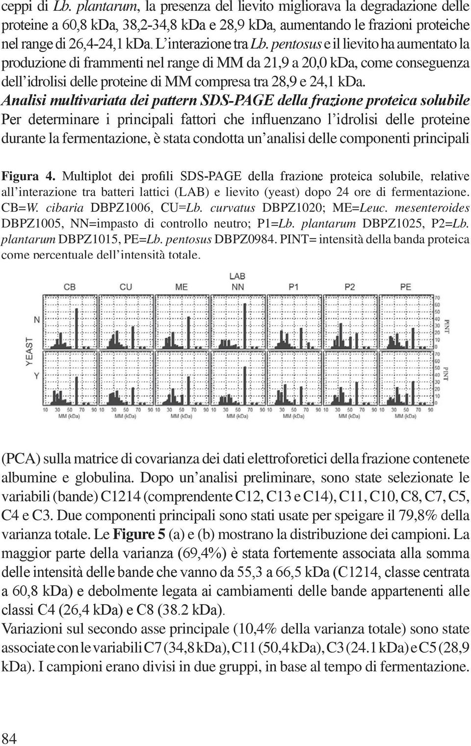 pentosus e il lievito ha aumentato la produzione di frammenti nel range di MM da 21,9 a 20,0 kda, come conseguenza dell idrolisi delle proteine di MM compresa tra 28,9 e 24,1 kda.