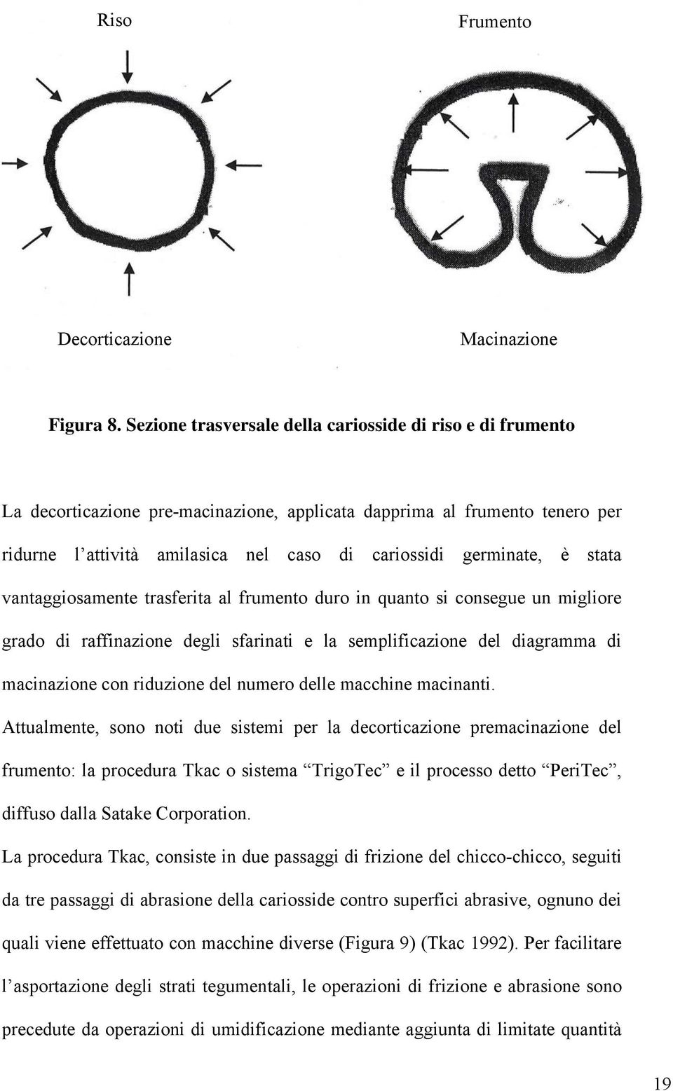 è stata vantaggiosamente trasferita al frumento duro in quanto si consegue un migliore grado di raffinazione degli sfarinati e la semplificazione del diagramma di macinazione con riduzione del numero