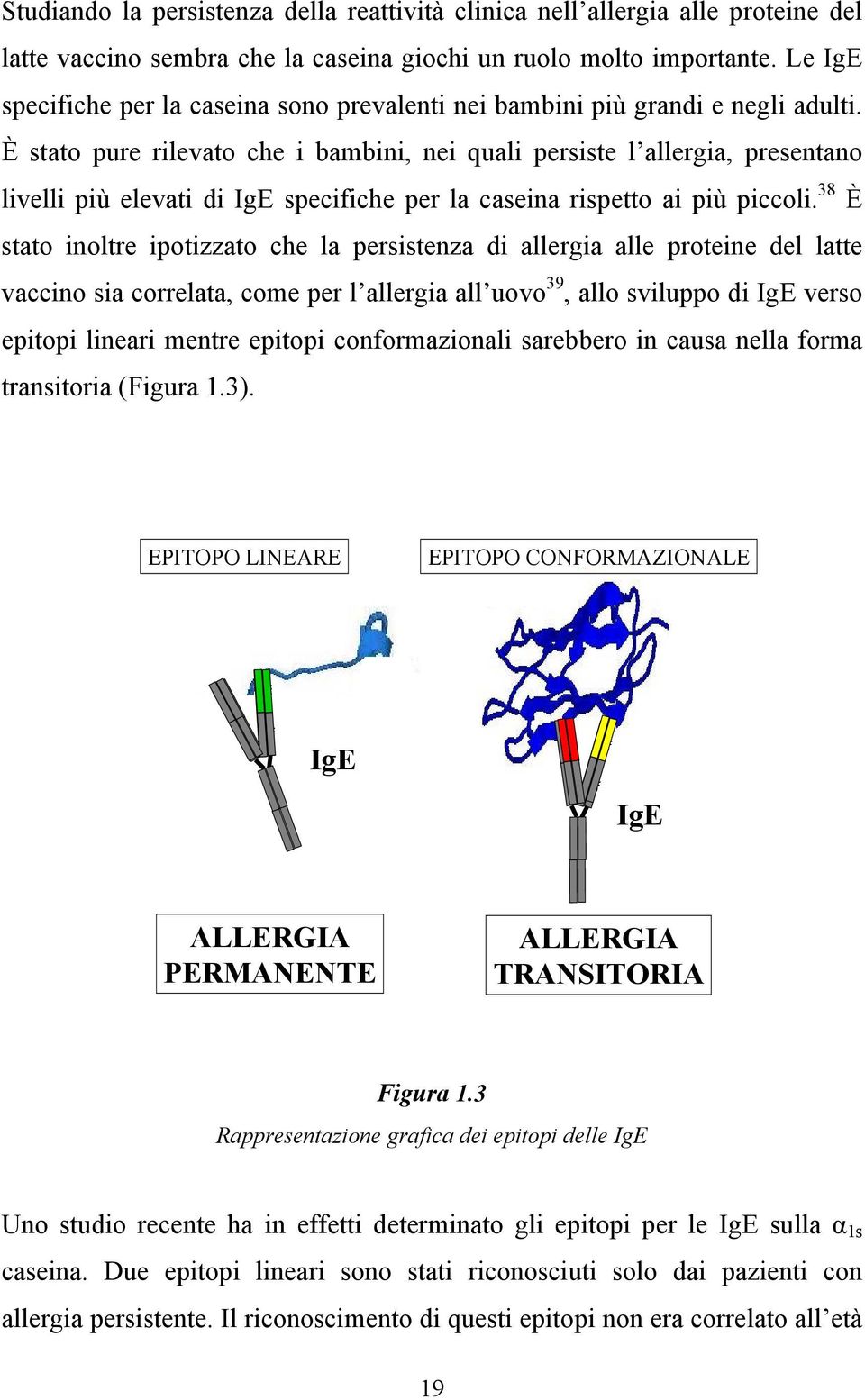 È stato pure rilevato che i bambini, nei quali persiste l allergia, presentano livelli più elevati di IgE specifiche per la caseina rispetto ai più piccoli.