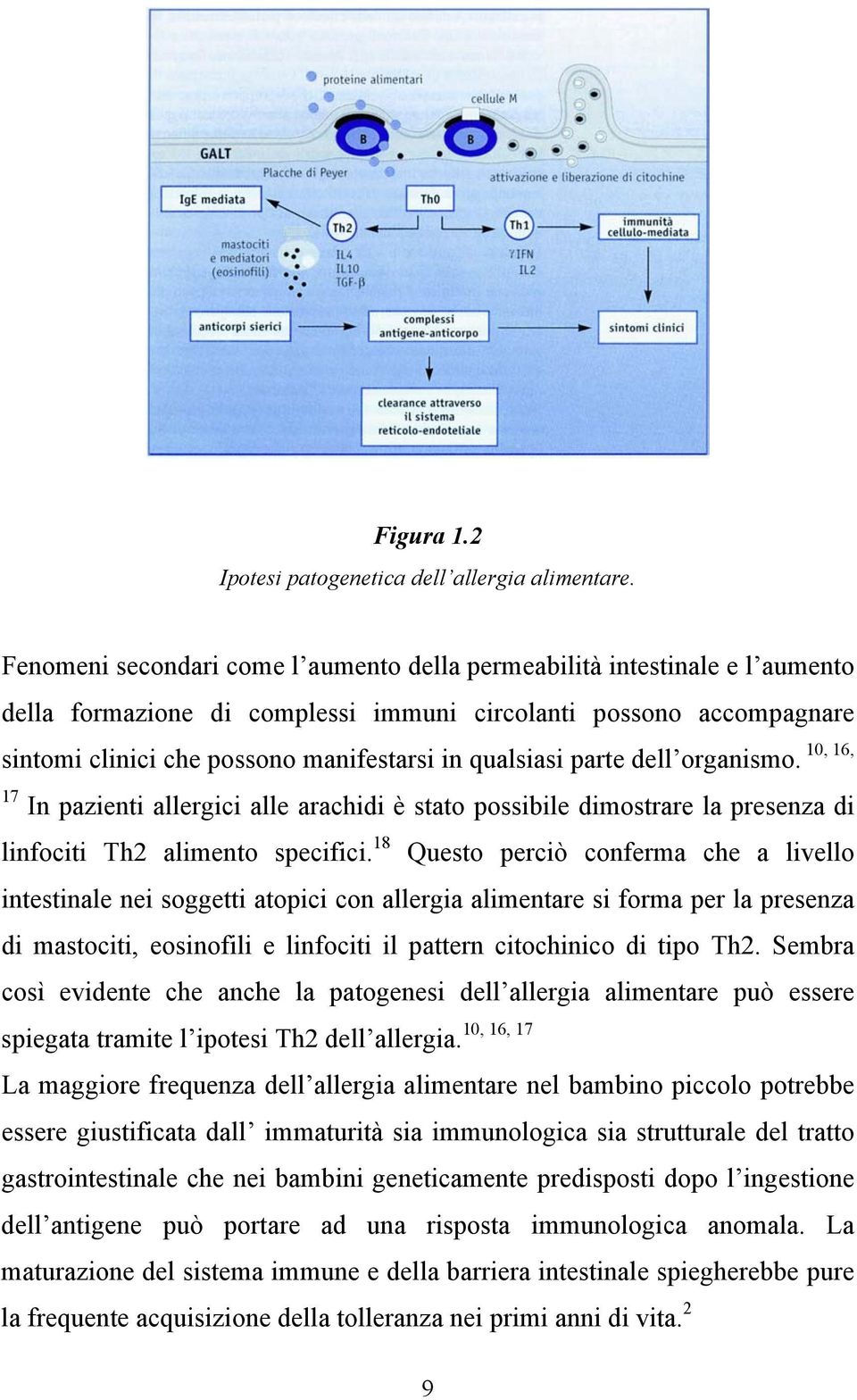 qualsiasi parte dell organismo. 17 In pazienti allergici alle arachidi è stato possibile dimostrare la presenza di linfociti Th2 alimento specifici.