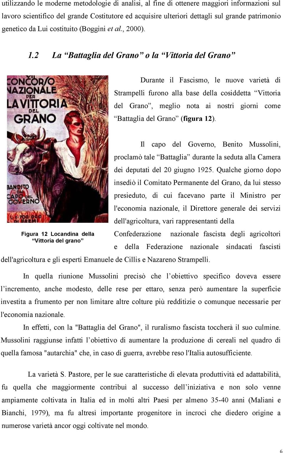 2 La Battaglia del Grano o la Vittoria del Grano Durante il Fascismo, le nuove varietà di Strampelli furono alla base della cosiddetta Vittoria del Grano, meglio nota ai nostri giorni come Battaglia