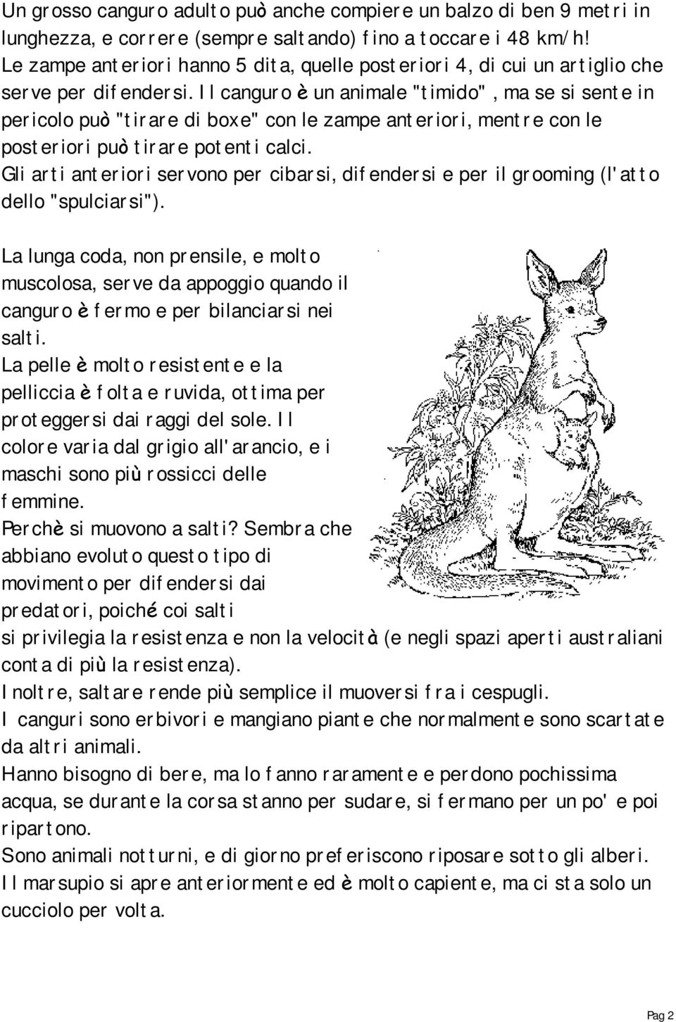 Il canguro è un animale "timido", ma se si sente in pericolo può "tirare di boxe" con le zampe anteriori, mentre con le posteriori può tirare potenti calci.