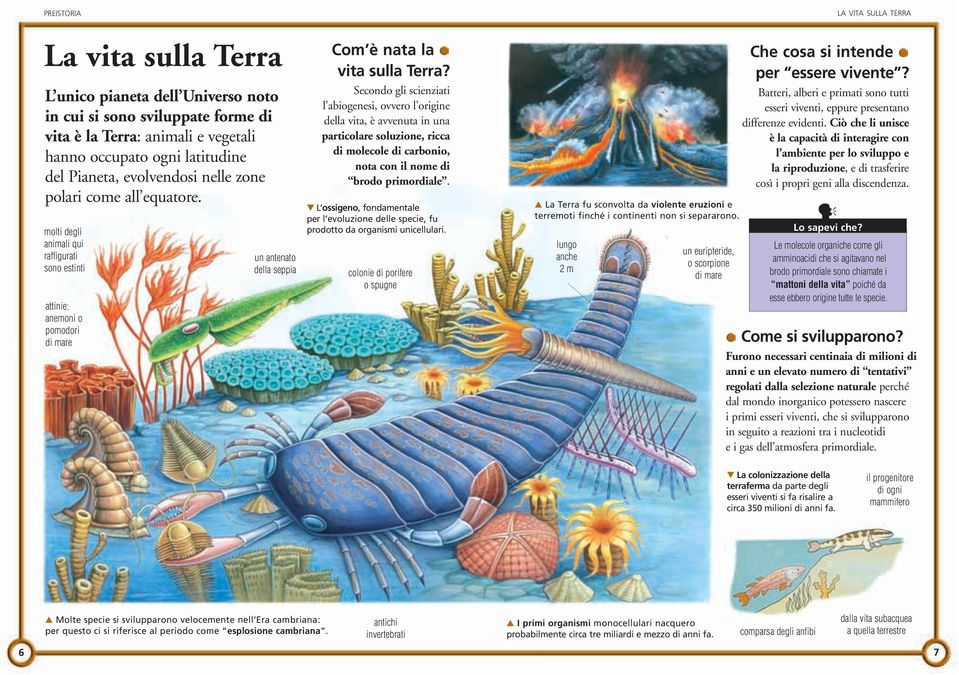 Secondo gli scienziati l abiogenesi, ovvero l origine della vita, è avvenuta in una particolare soluzione, ricca di molecole di carbonio, nota con il nome di brodo primordiale.