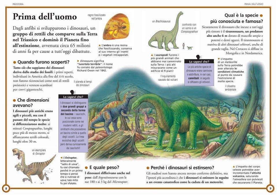 Tutto ciò che sappiamo dei dinosauri deriva dallo studio dei fossili: i primi reperti, individuati in America alla fine del XVII secolo, non furono riconosciuti come resti di rettili preistorici e