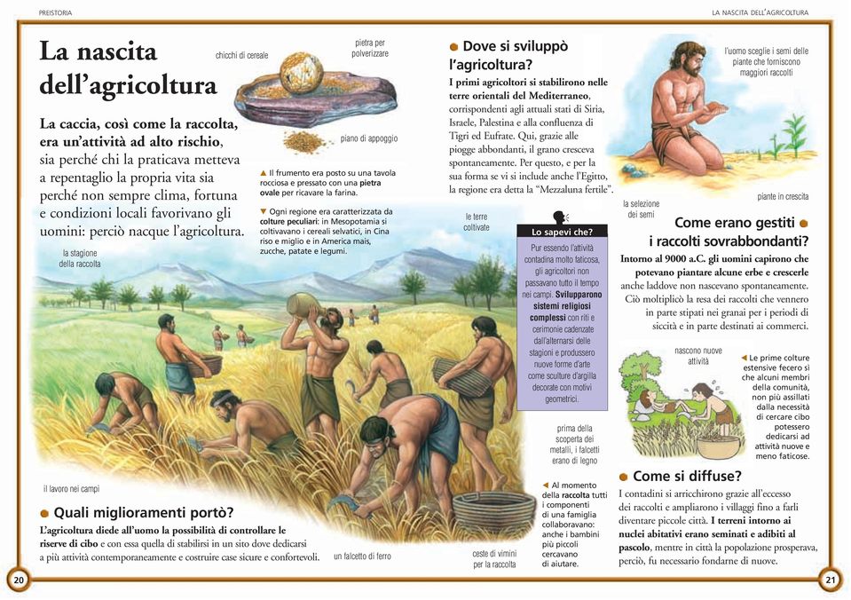 L agricoltura diede all uomo la possibilità di controllare le riserve di cibo e con essa quella di stabilirsi in un sito dove dedicarsi a più attività contemporaneamente e costruire case sicure e