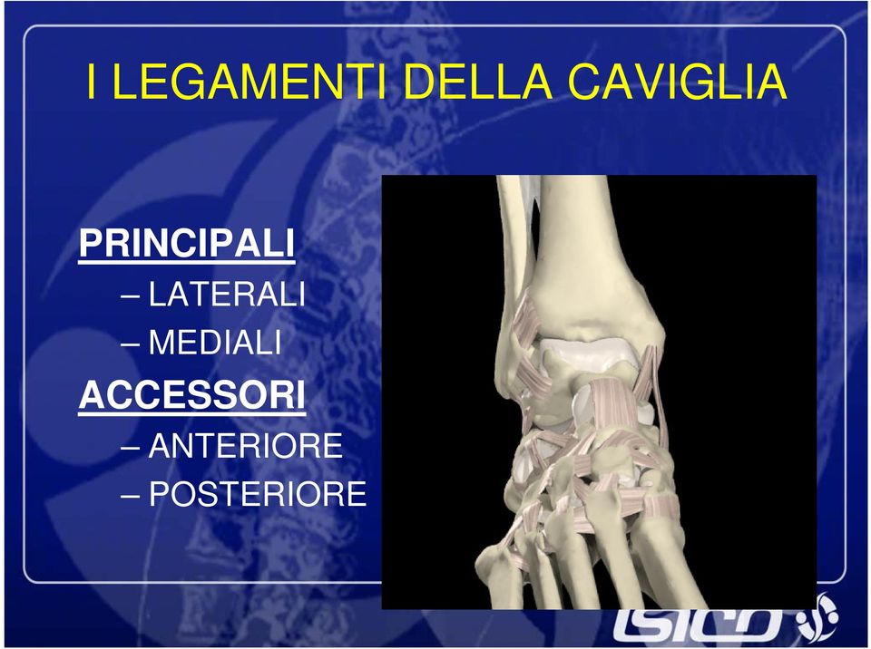 LATERALI MEDIALI