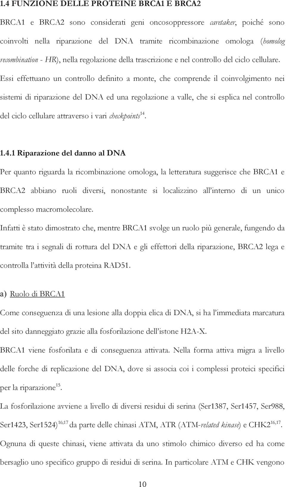 Essi effettuano un controllo definito a monte, che comprende il coinvolgimento nei sistemi di riparazione del DNA ed una regolazione a valle, che si esplica nel controllo del ciclo cellulare