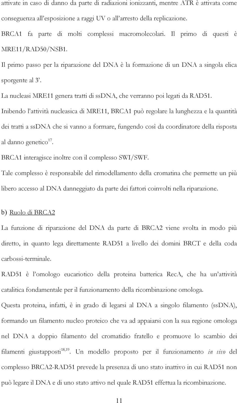 La nucleasi MRE11 genera tratti di ssdna, che verranno poi legati da RAD51.