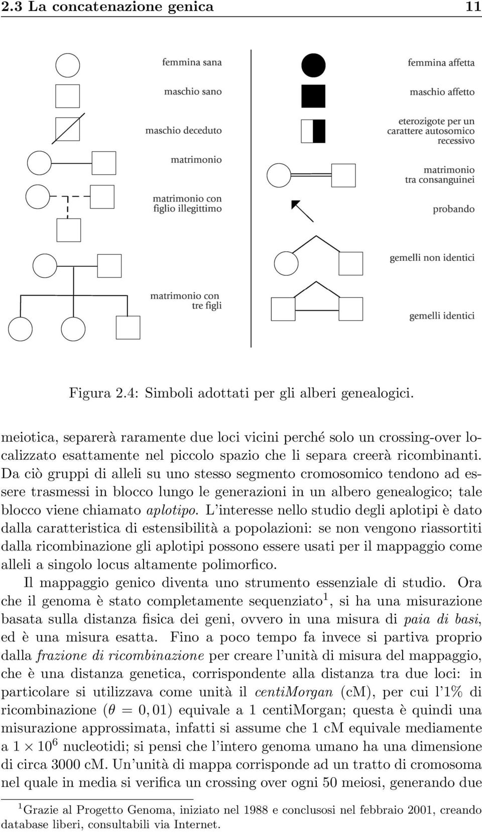 Da ciò gruppi di alleli su uno stesso segmento cromosomico tendono ad essere trasmessi in blocco lungo le generazioni in un albero genealogico; tale blocco viene chiamato aplotipo.