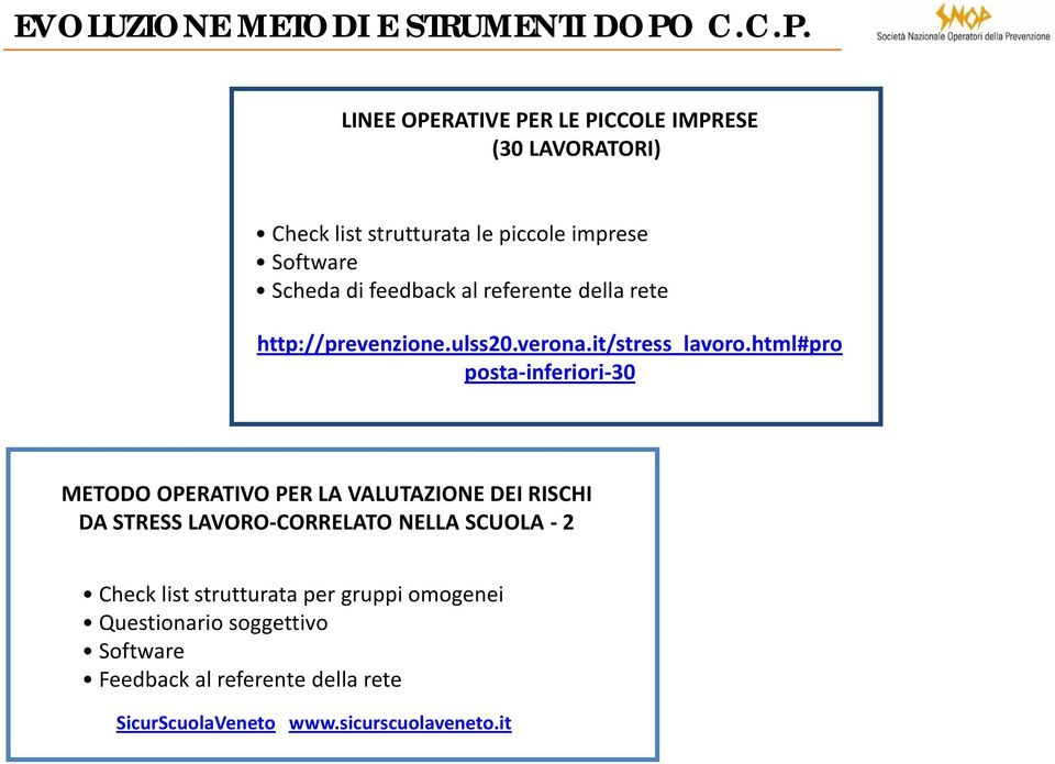 LINEE OPERATIVE PER LE PICCOLE IMPRESE (30 LAVORATORI) Check list strutturata le piccole imprese Software Scheda di feedback al