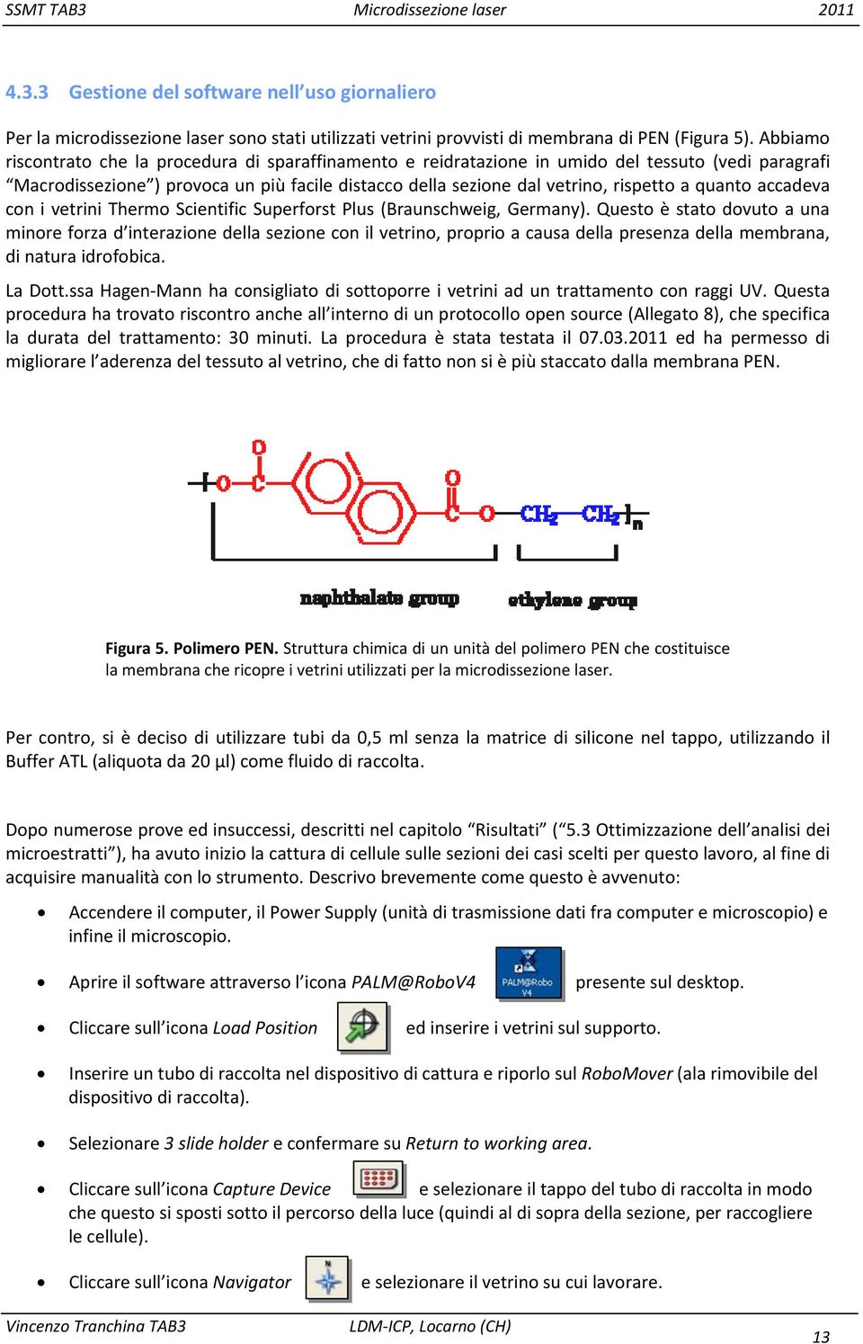 quanto accadeva con i vetrini Thermo Scientific Superforst Plus (Braunschweig, Germany).