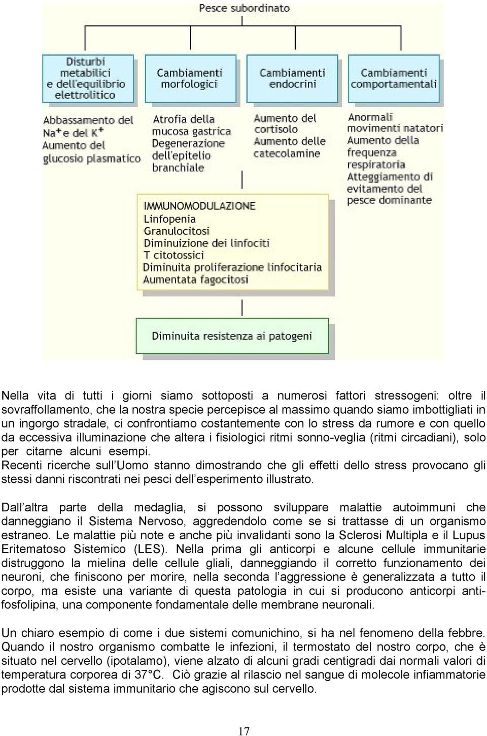 Recenti ricerche sull Uomo stanno dimostrando che gli effetti dello stress provocano gli stessi danni riscontrati nei pesci dell esperimento illustrato.