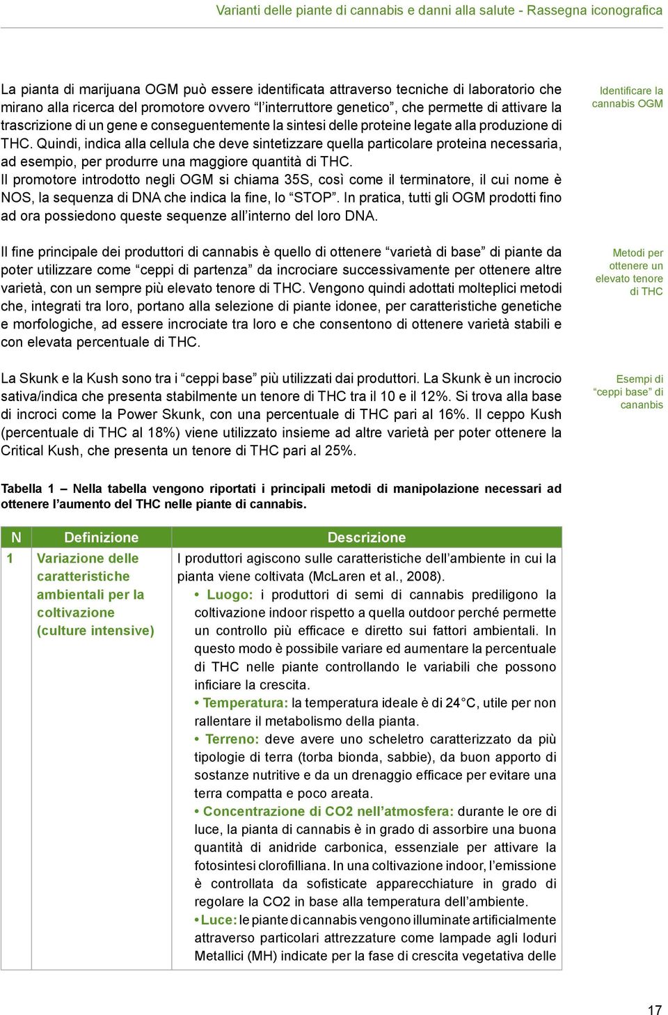 Quindi, indica alla cellula che deve sintetizzare quella particolare proteina necessaria, ad esempio, per produrre una maggiore quantità di THC.