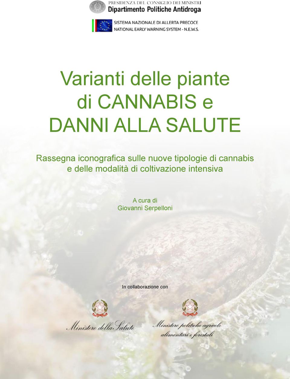 di cannabis e delle modalità di coltivazione