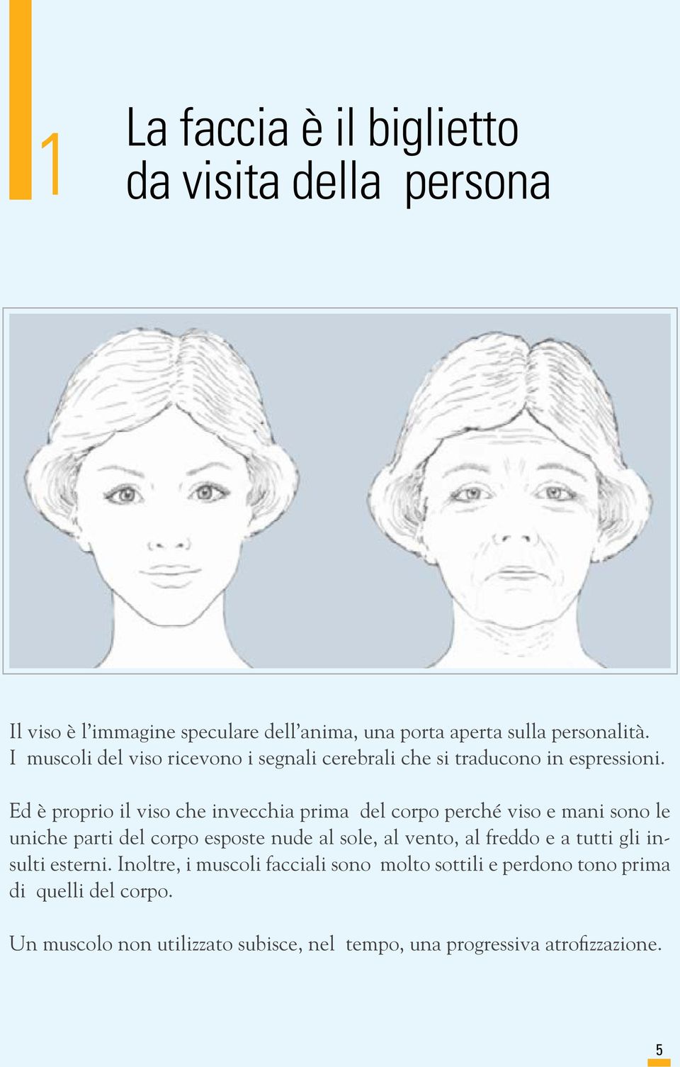 Ed è proprio il viso che invecchia prima del corpo perché viso e mani sono le uniche parti del corpo esposte nude al sole, al vento, al