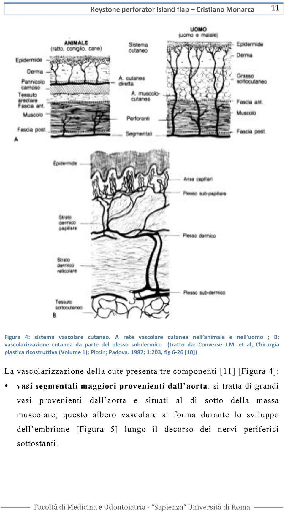 et al, Chirurgia plasticaricostruttiva(volume1);piccin;padova.