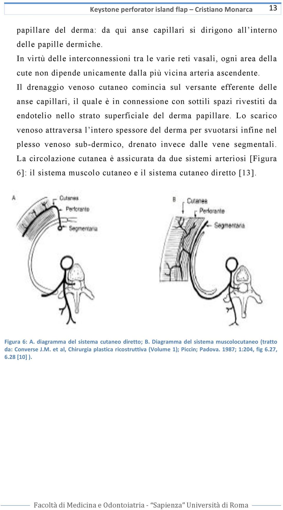 Il drenaggio venoso cutaneo comincia sul versante efferente delle anse capillari, il quale è in connessione con sottili spazi rivestiti da endotelio nello strato superficiale del derma papillare.